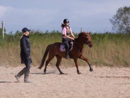 IMG_5655_web